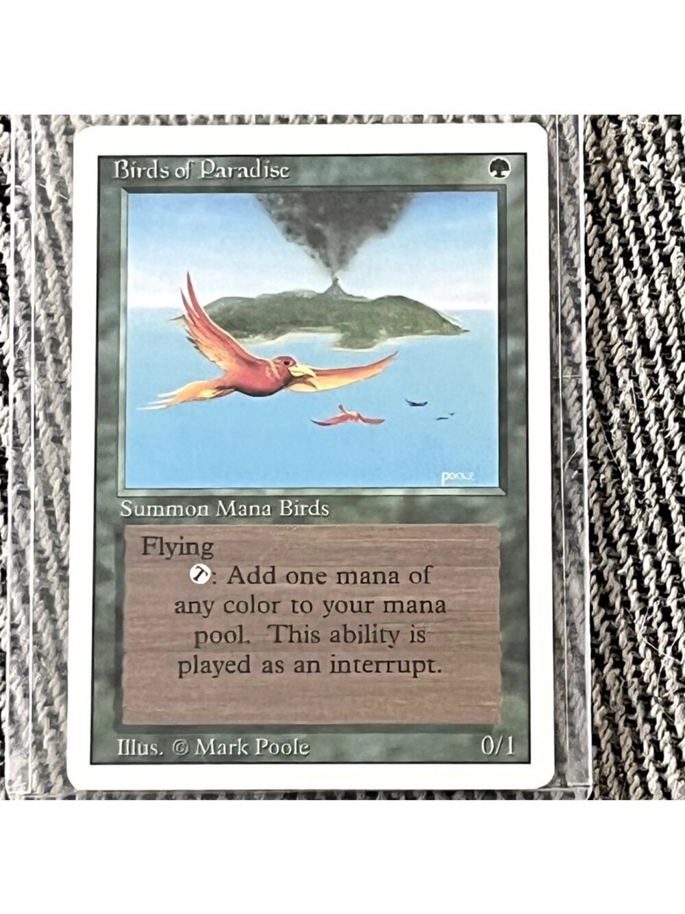 Birds of Paradise – MTG 1994 Revised Edition – Excellent Condition